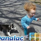 Families, Babies, and Pets